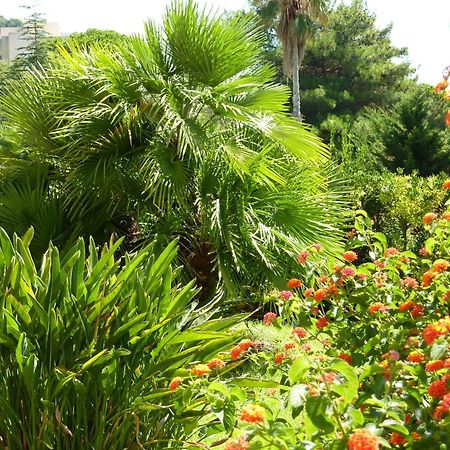 Hotel La Pinede Ajaccio  Kültér fotó